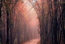 卡利斯尔联对阵斯蒂文尼奇的比分最终是多少？