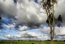 捷克2:1战胜德国的比分预测是否合理？