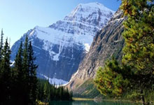 解放者杯最新比分情况如何？各焦点战有哪些精彩表现？